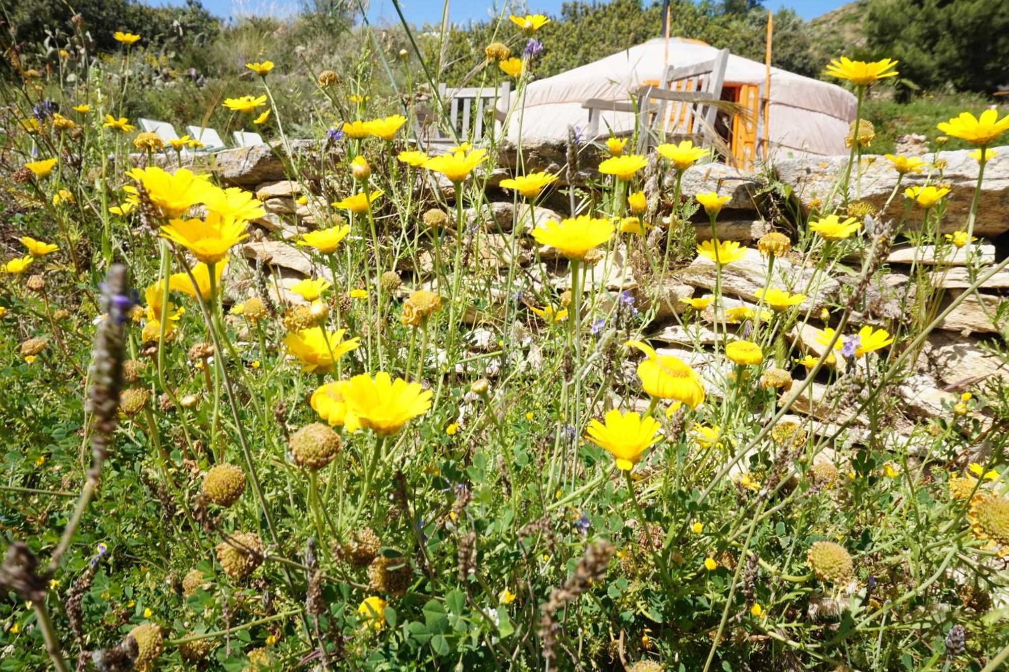 B&B Eco-Casa Alegria y Luna Sorbas Exterior foto
